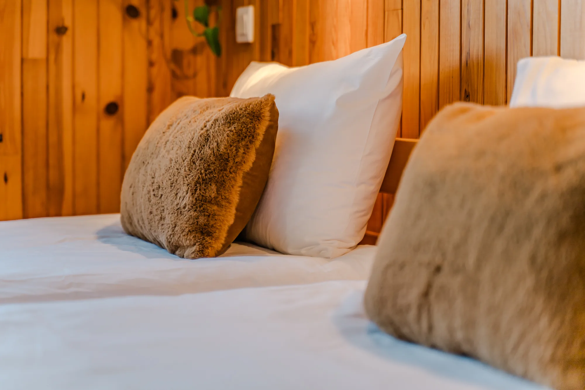 ch5-le-bellacha-tarentaise-84