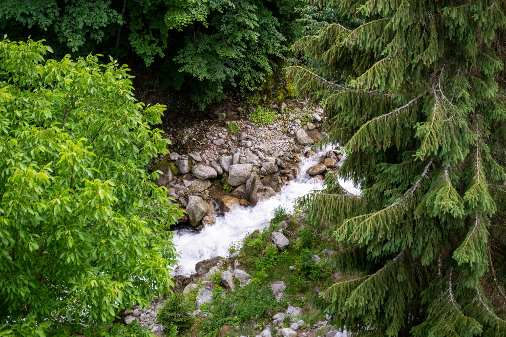 le-bellacha-tarentaise-25