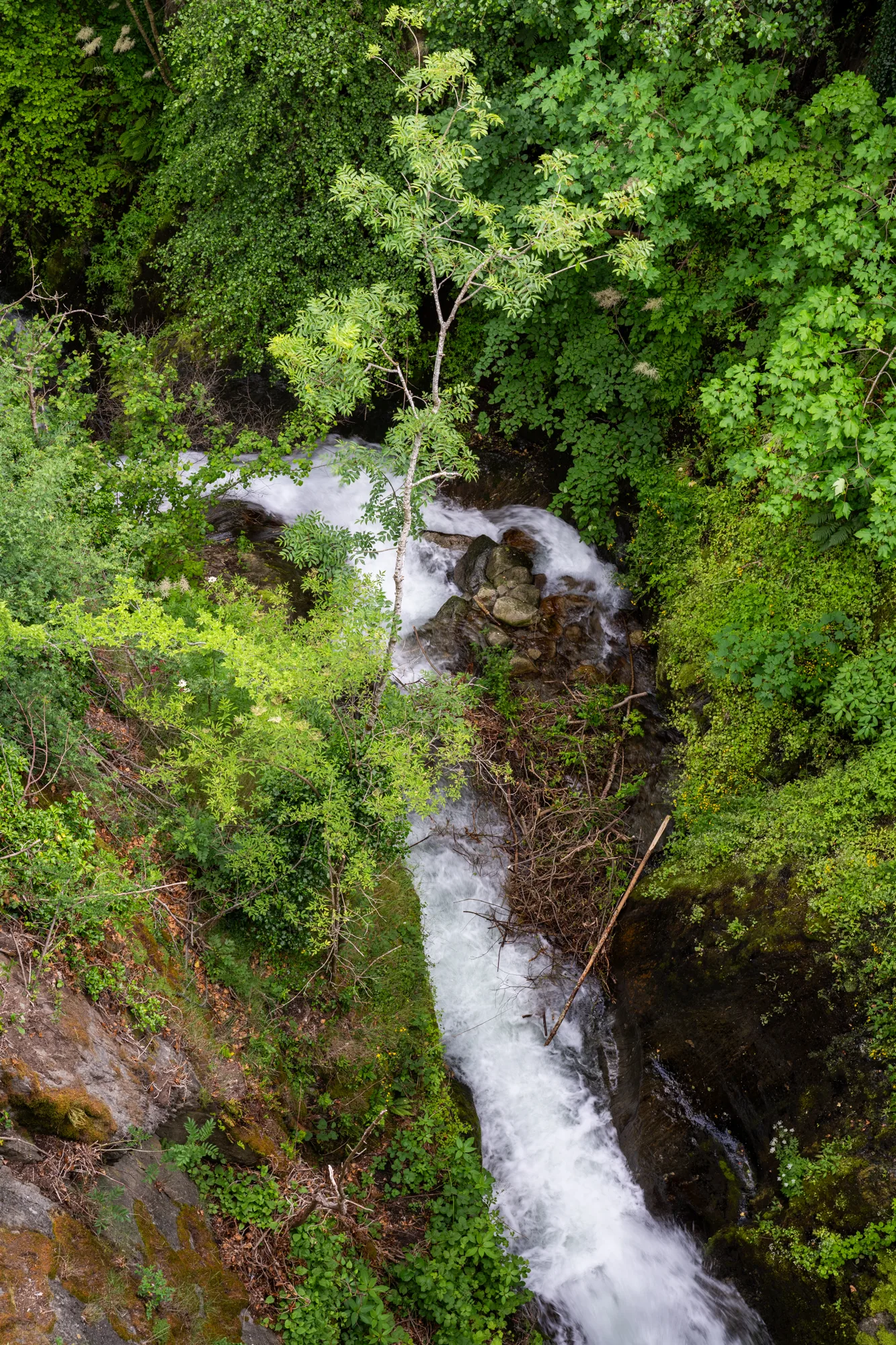 le-bellacha-tarentaise-4